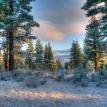 crisp morning in Reno, NV